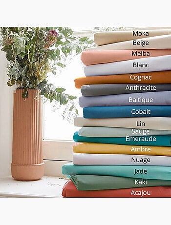 Drap-housse percale de coton uni bonnet 30 cm