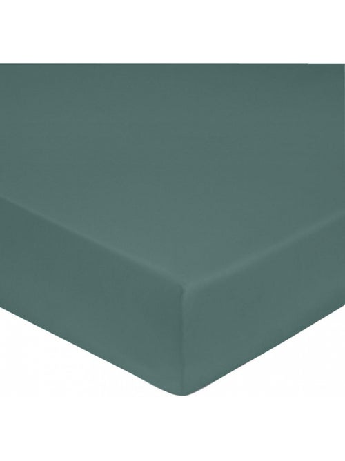 Drap housse satin de coton céladon - Kiabi