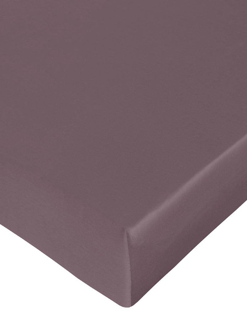 Drap housse satin de coton Mauve - Kiabi