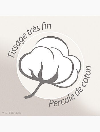 Drap housse uni percale de coton MANOIR Bonnet de 35 cm