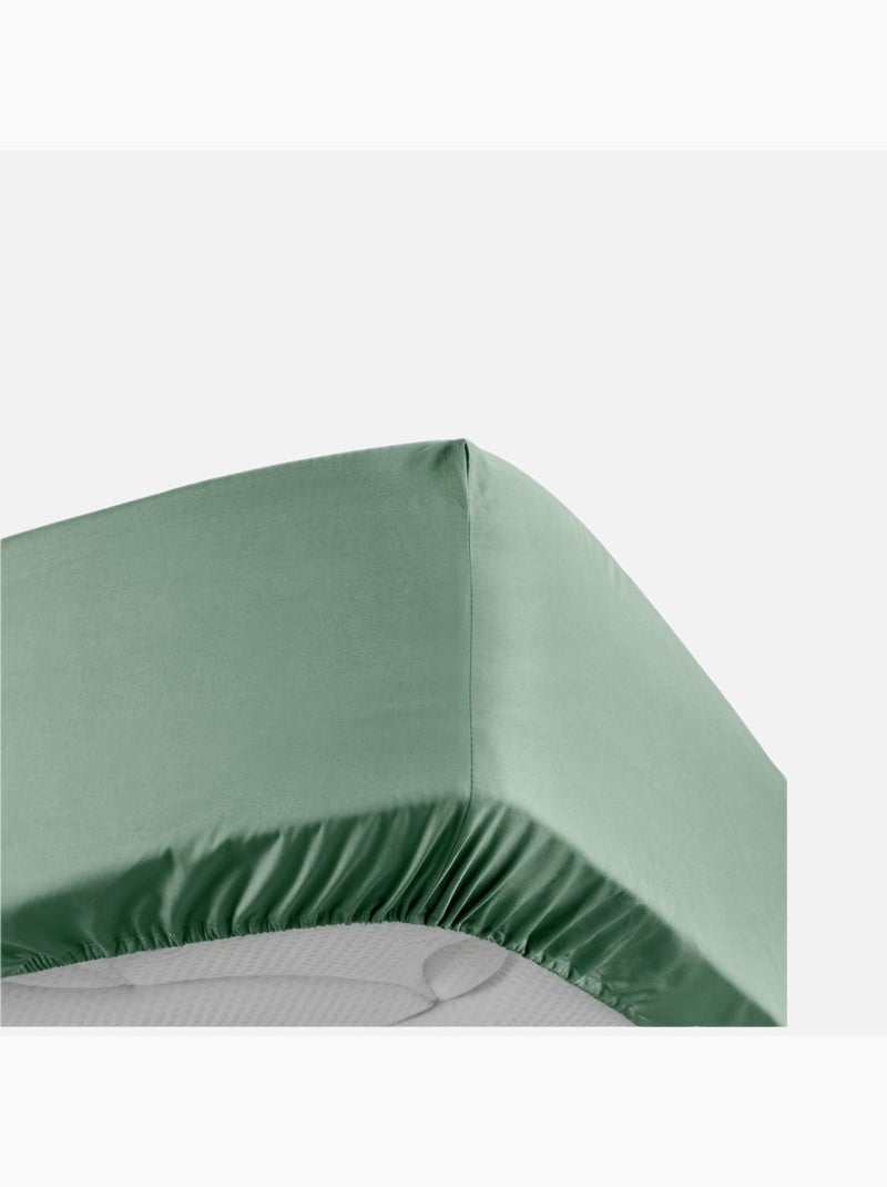 Drap Housse Uni 100% Percale de Coton ORIGINE Vert tilleul - Kiabi