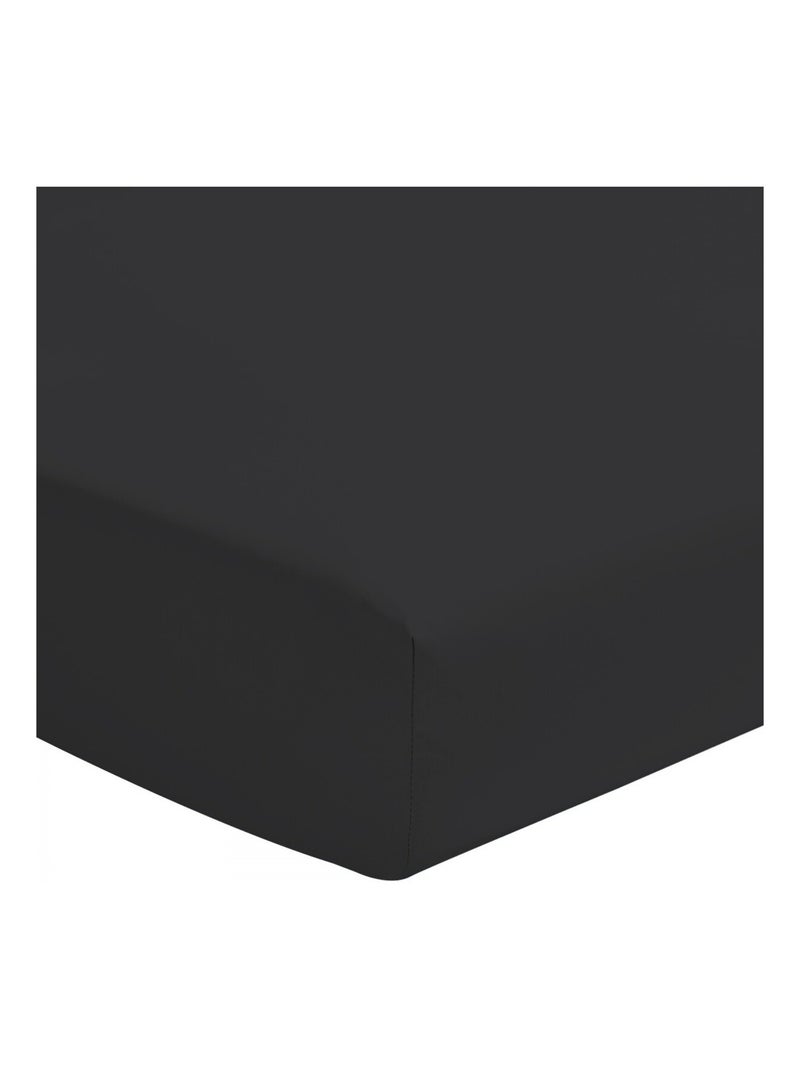 Drap housse uni coton 57 fils bonnet 35cm Noir - Kiabi