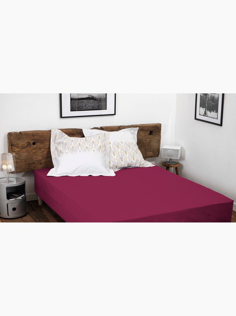 Drap housse uni coton 57 fils bonnet 35cm Rose fushia - Kiabi