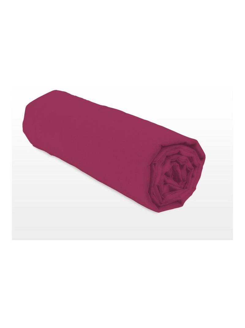 Drap housse uni coton 57 fils bonnet 35cm Rose fushia - Kiabi