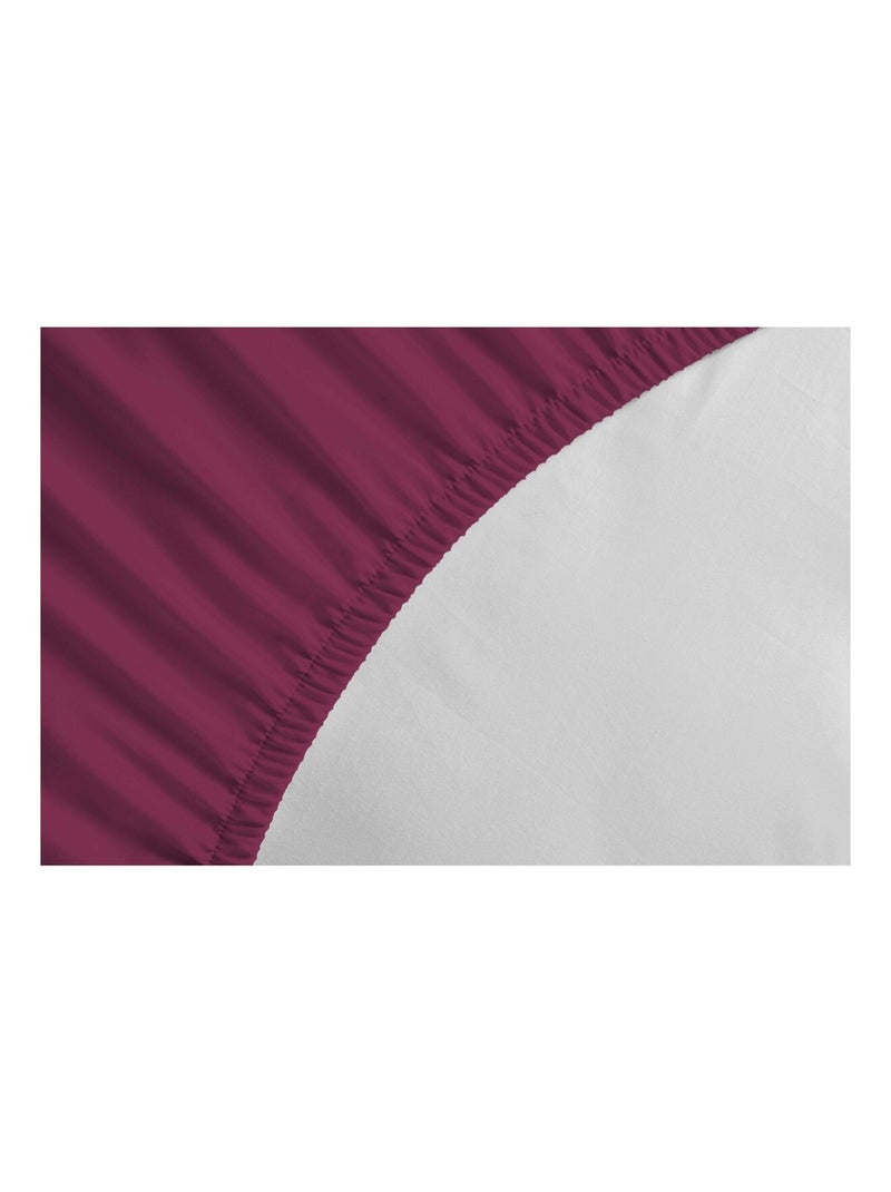Drap housse uni coton 57 fils bonnet 35cm Rose fushia - Kiabi
