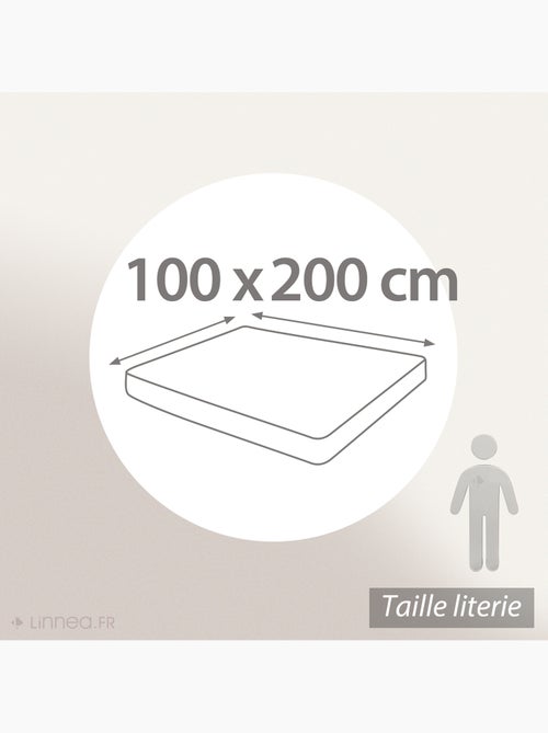 Drap housse uni coton ALTO Bonnet de 30 cm - Kiabi
