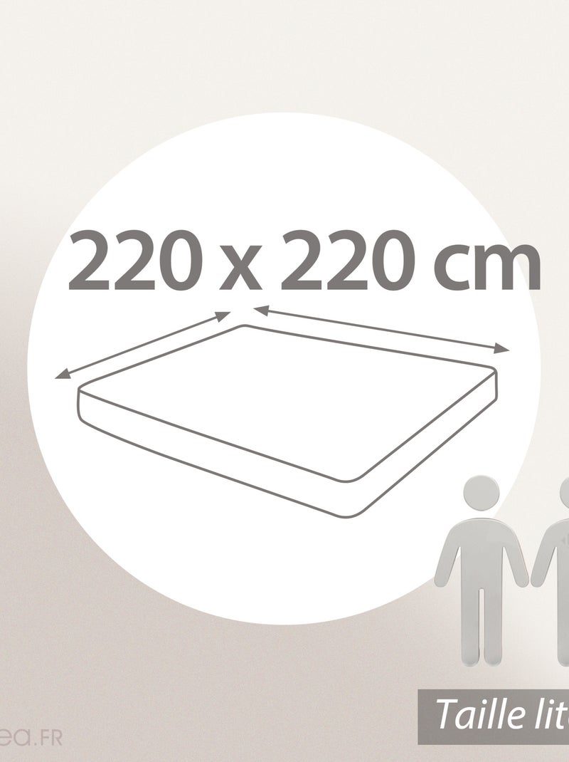 Drap housse uni coton ALTO Bonnet de 30 cm Bleu polaire - Kiabi