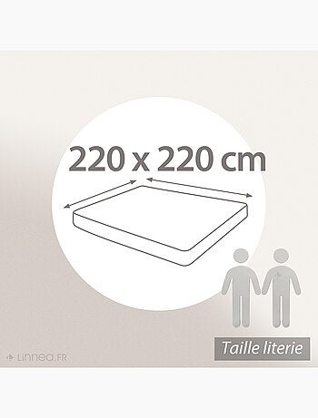 Drap housse uni coton ALTO Bonnet de 30 cm