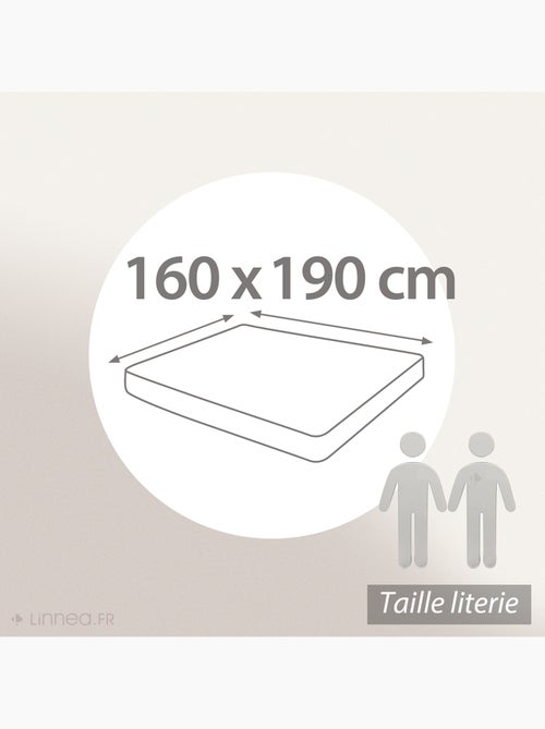 Drap housse uni coton ALTO Bonnet de 30 cm - Kiabi