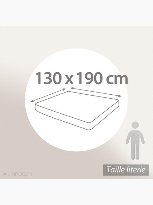 Drap housse uni coton ALTO Bonnet de 30 cm - Kiabi