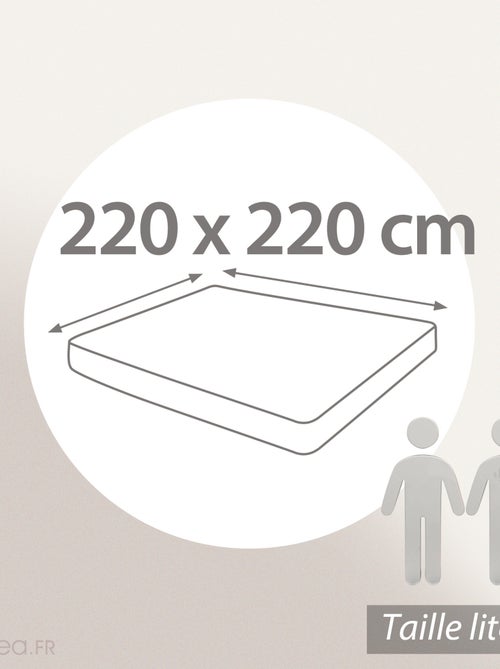 Drap housse uni coton ALTO Bonnet de 30 cm - Kiabi