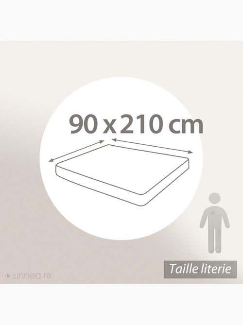 Drap housse uni coton ALTO Bonnet de 30 cm - Kiabi