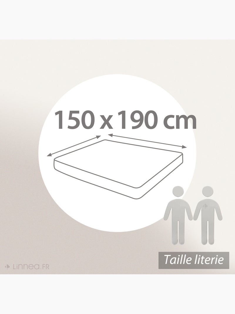 Drap housse uni coton ALTO Bonnet de 30 cm Marron clair - Kiabi