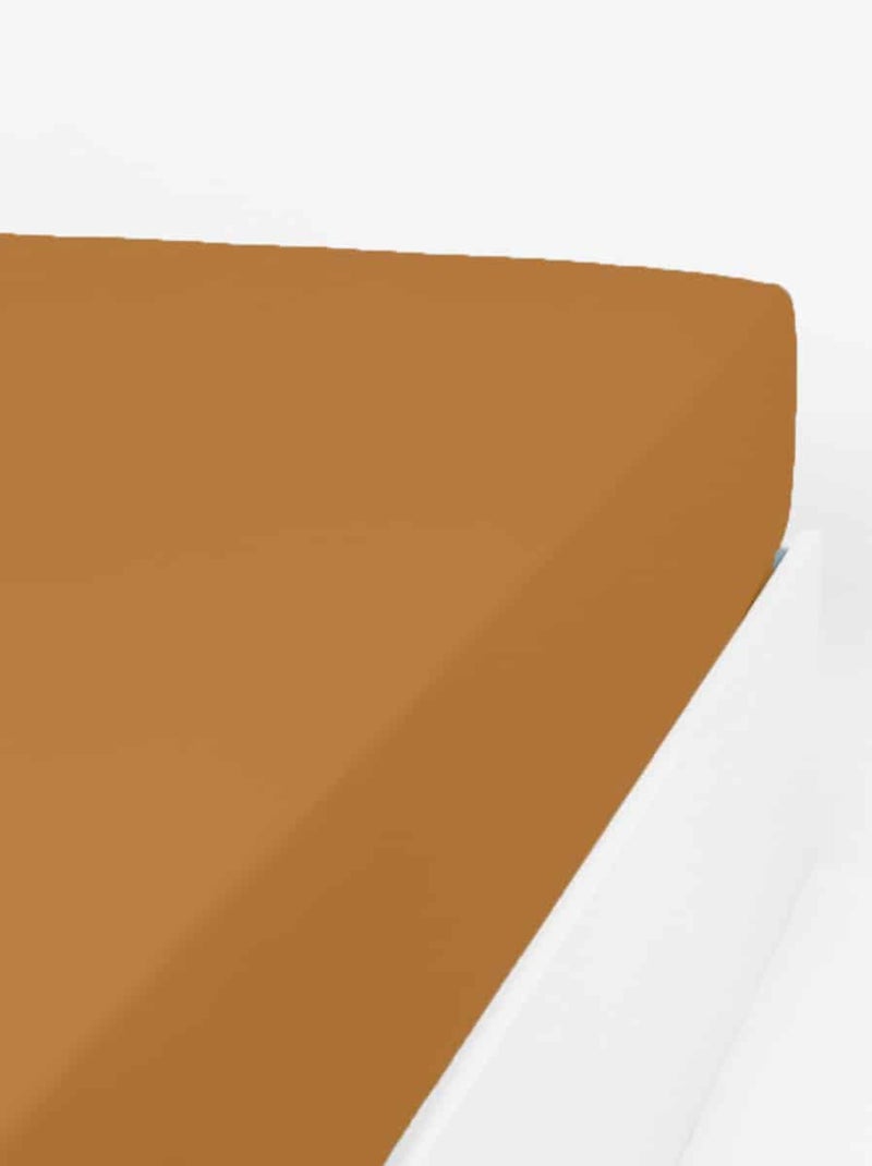 Drap housse uni coton percale 200 fils DESIREE Cognac - Kiabi