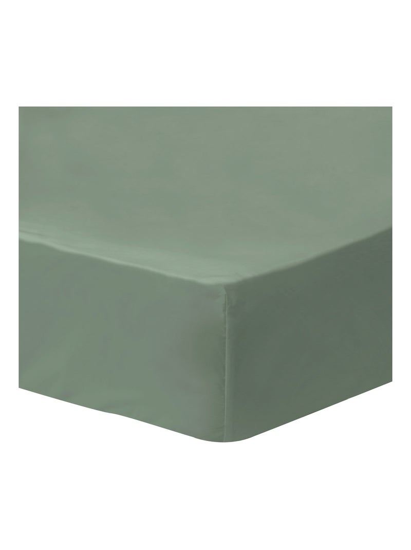 Drap-housse uni en coton, COTON LAVÉ Vert - Kiabi