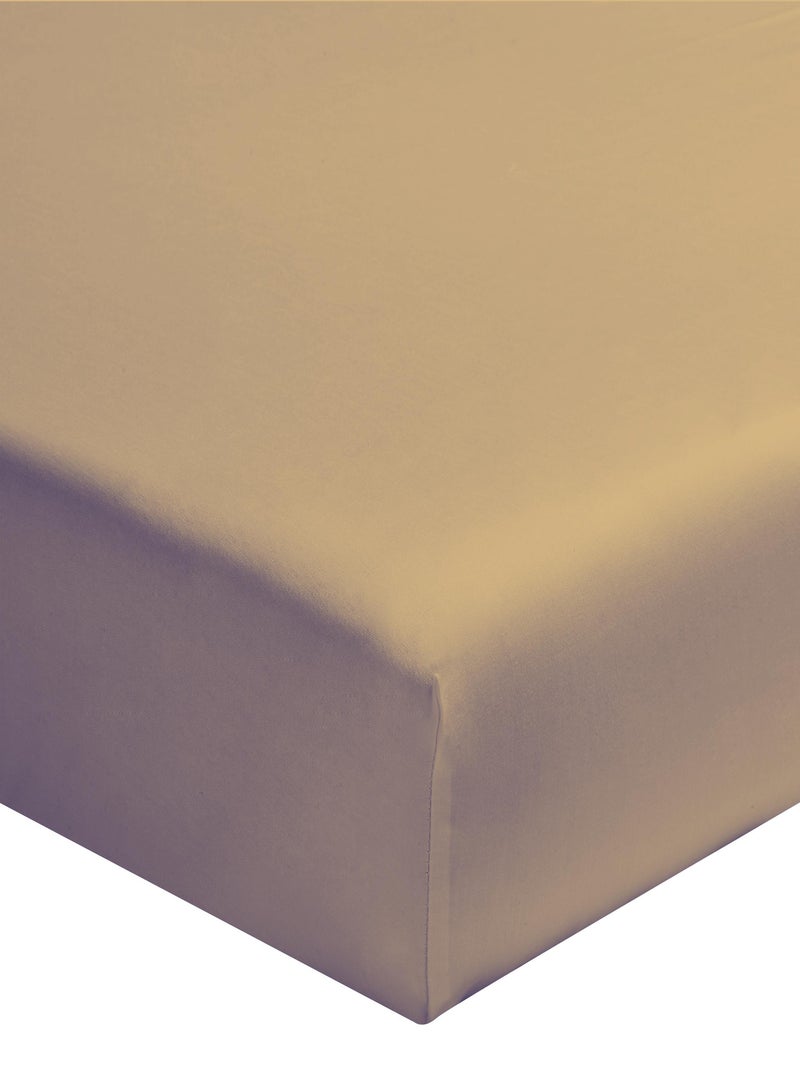 Drap housse uni en coton, matelas épais, Made in France, LES UNIS Beige coquille - Kiabi