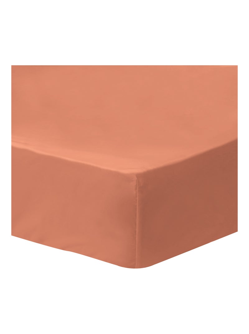 Drap-housse uni en percale, COTON BIO Rouge - Kiabi
