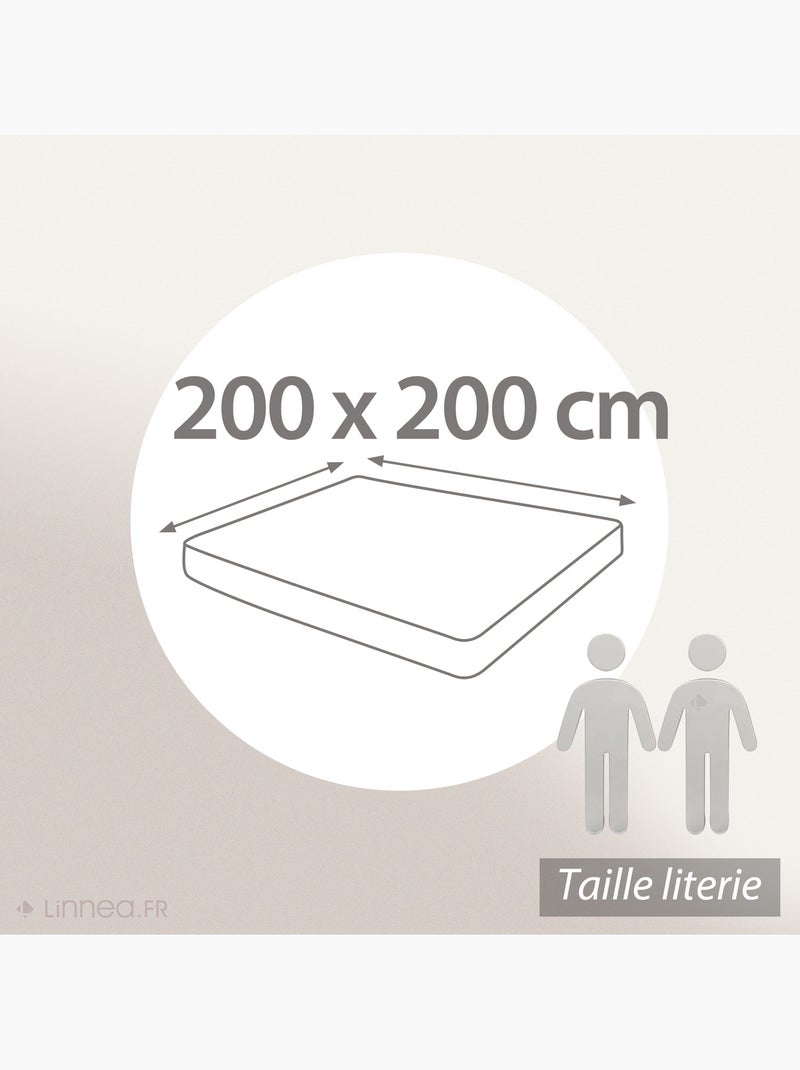 Drap housse uni percale PRIMO Bonnet de 50 cm Blanc - Kiabi
