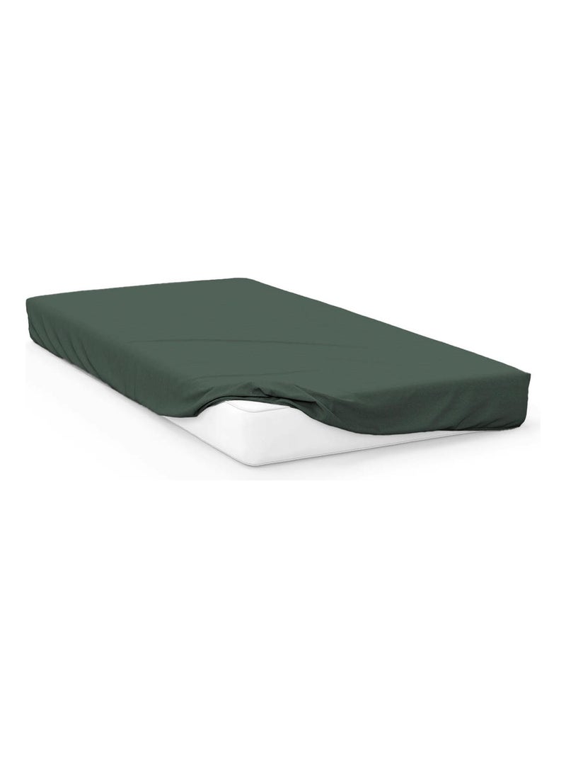 Drap housse uni ZZZ Kaki - Kiabi
