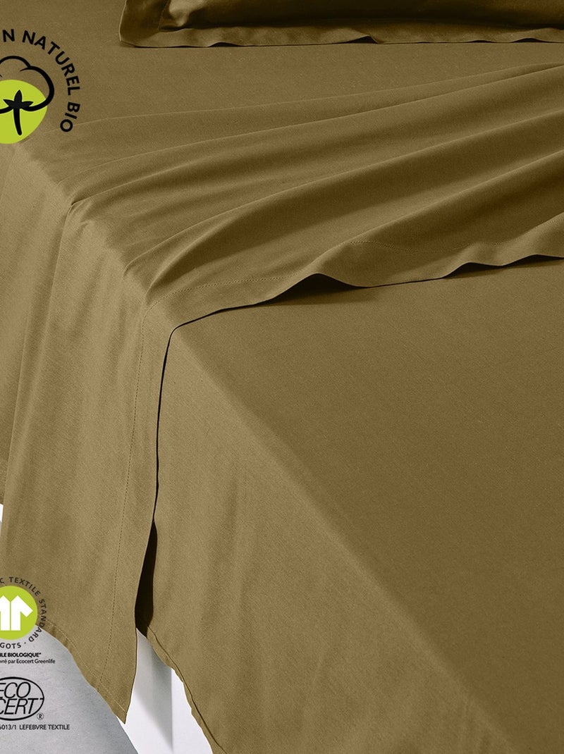 Drap plat 1 place en coton BIO Marron - Kiabi