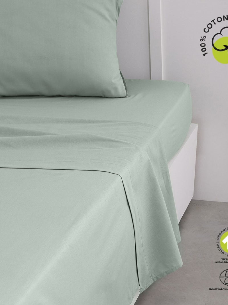 Drap plat 2 places en coton BIO Vert - Kiabi