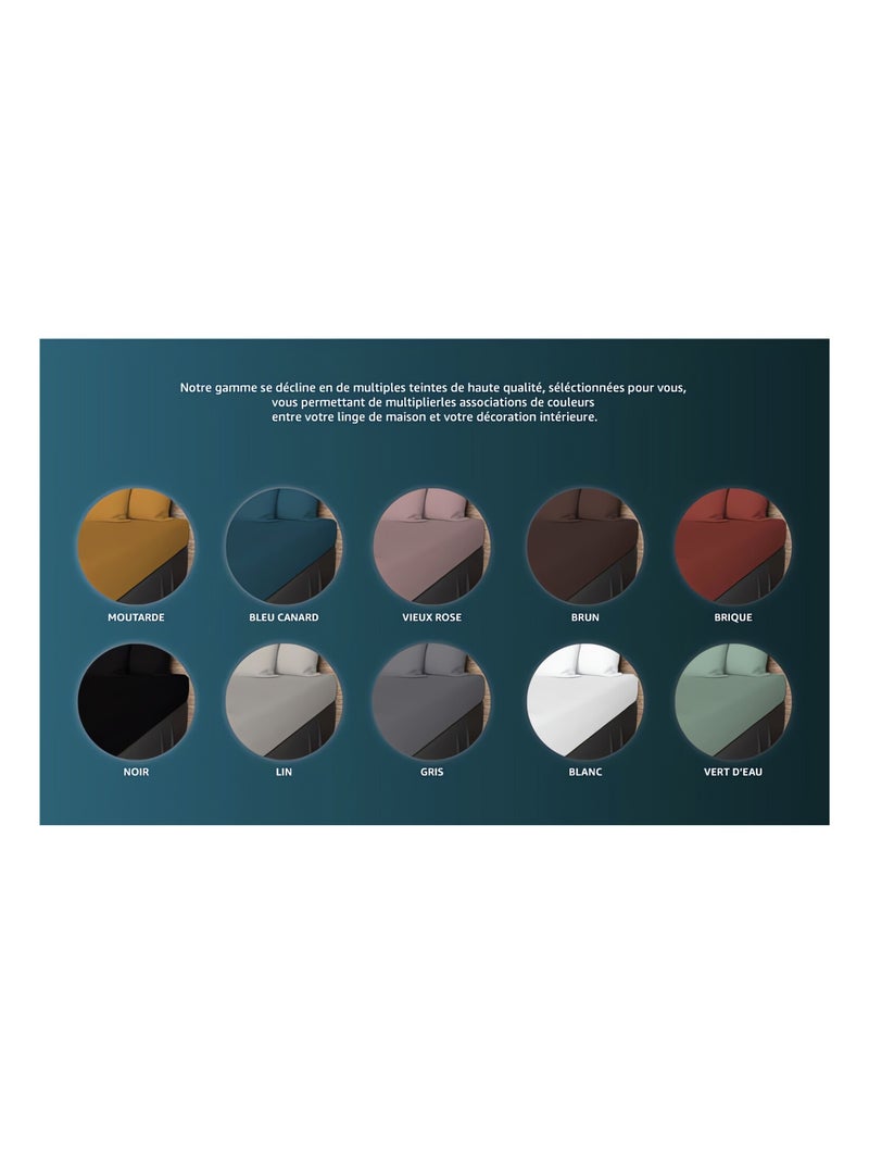 Drap plat en coton 57 fils UNI, par Soleil d'ocre Ecru - Kiabi