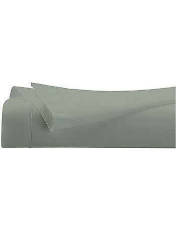 Drap plat en percale de coton confort