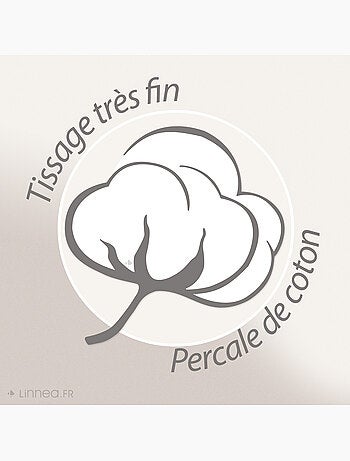Drap plat uni percale de coton MANOIR