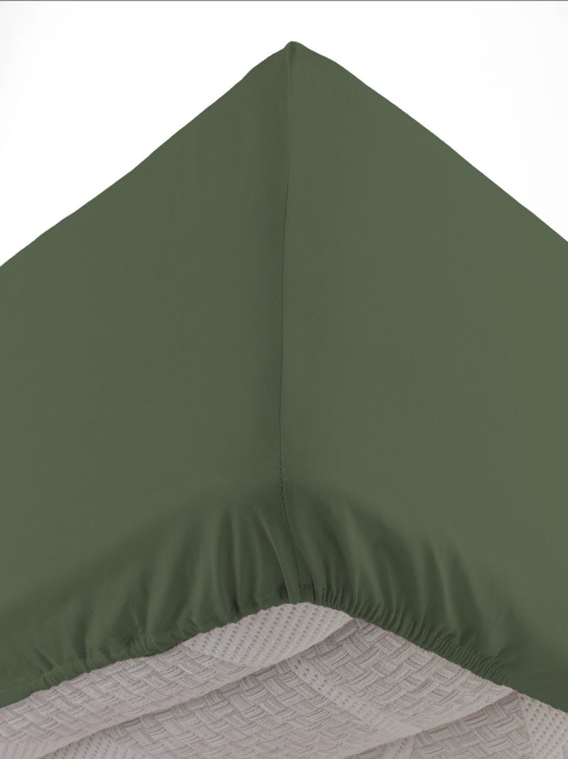 Draps Housse Coton NOA PROMO LINGE Kaki - Kiabi