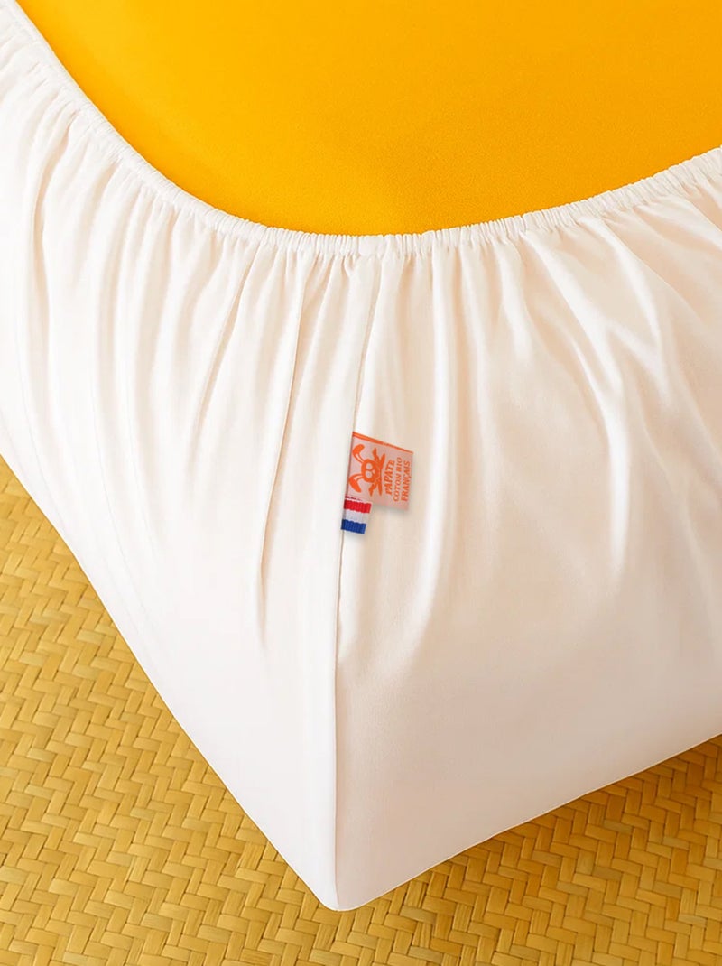 Draps Housse en Coton Bio Blanc Blanc - Kiabi