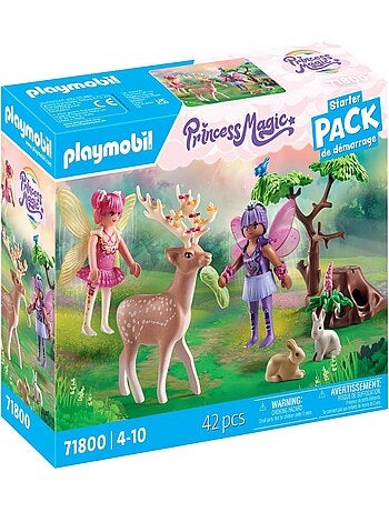 Duo de fées avec animaux de la forêt enchantée