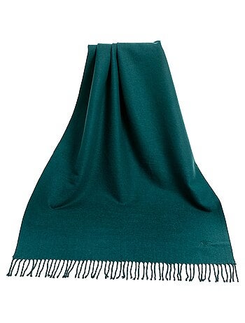 Écharpe en cachemire vert Recto-Verso