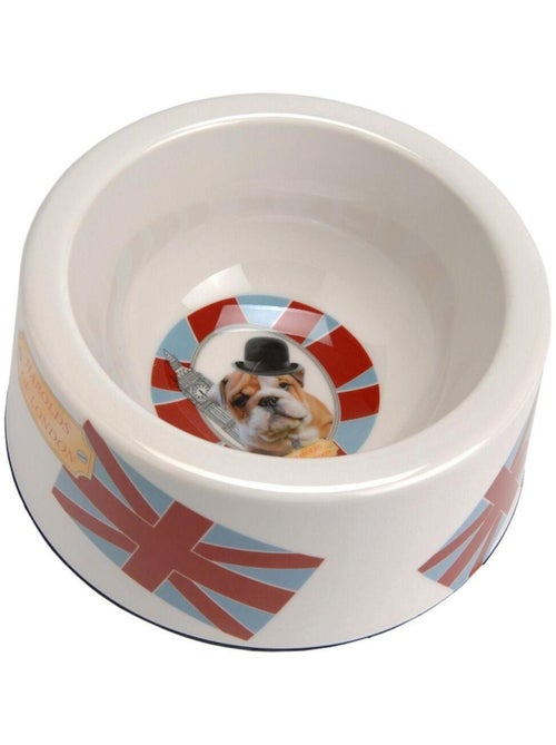 Écuelle pour Chien Style Anglais - Kiabi