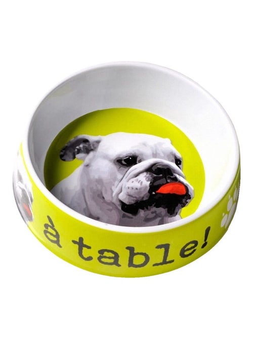 Écuelle pour grand Chien verte - Kiabi