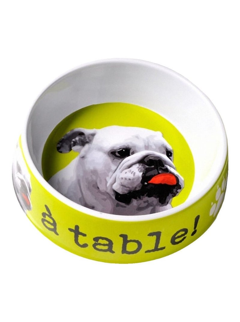 Écuelle pour grand Chien verte Jaune - Kiabi