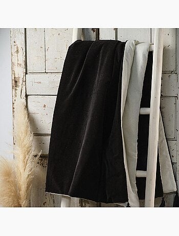 Edredon bicolore INDIES