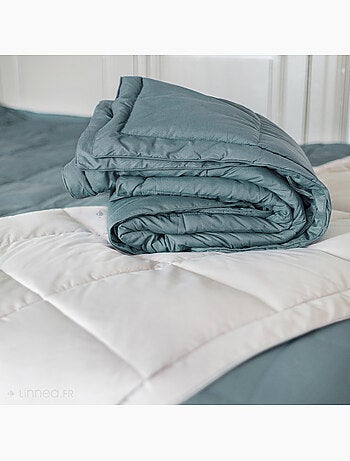 Edredon polyester LAZY