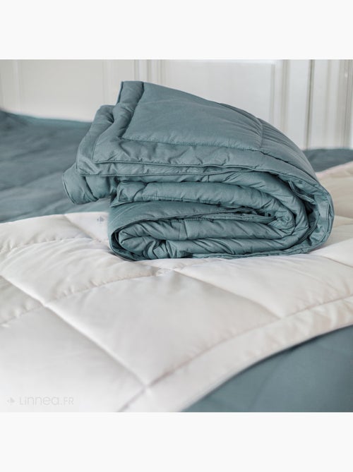 Edredon polyester LAZY - Kiabi