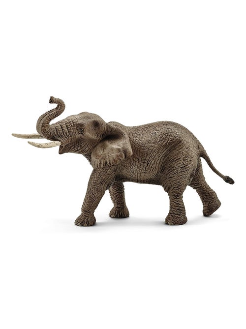 Éléphant d'Afrique mâle - Kiabi
