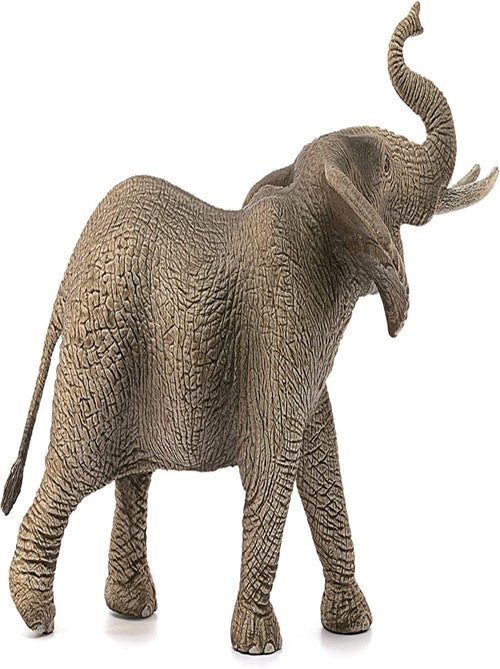Éléphant d'Afrique mâle - Kiabi
