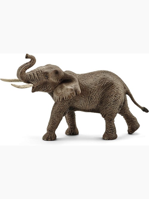 Éléphant d'Afrique mâle - Kiabi