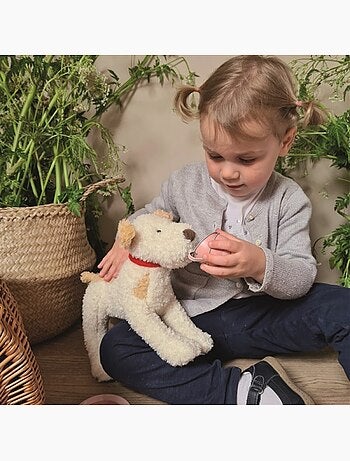 Eliot le chien en peluche