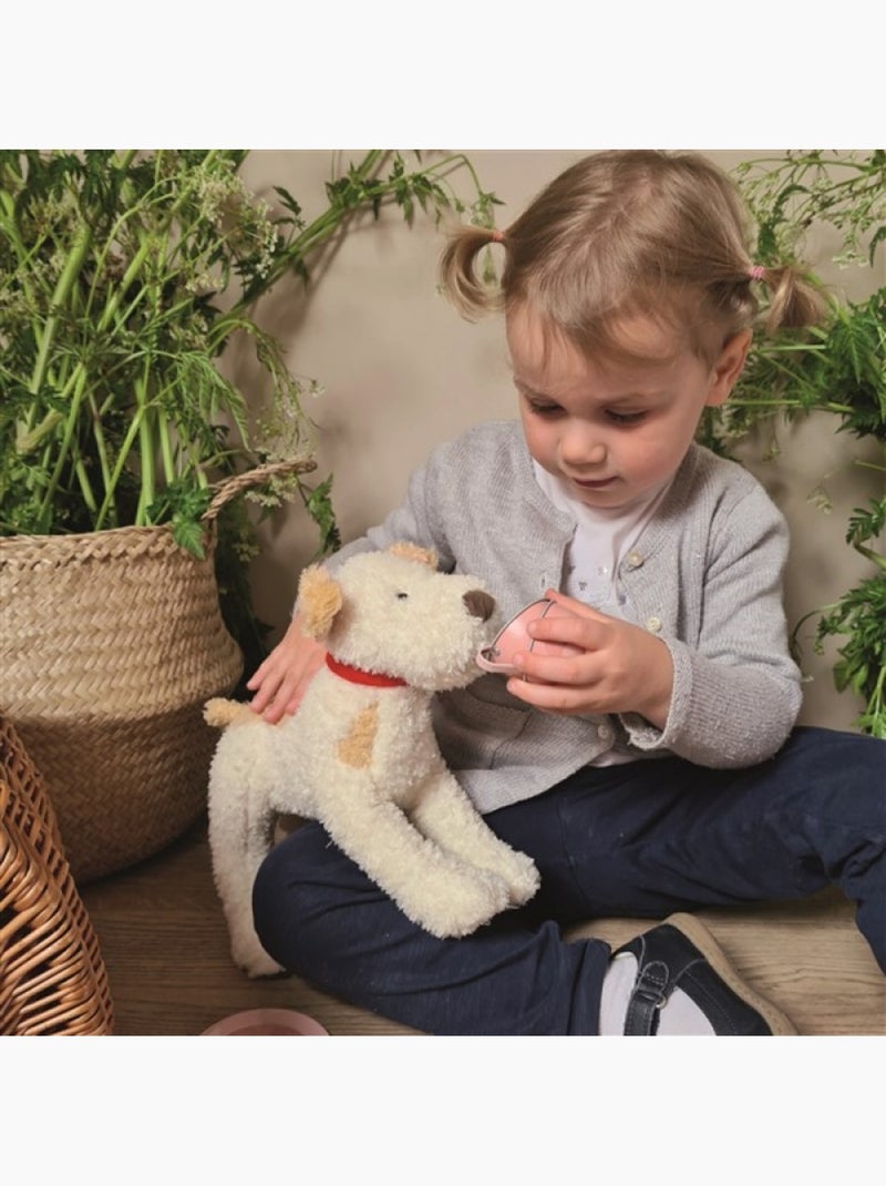 Eliot le chien en peluche Beige - Kiabi