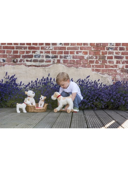 Eliot le chien en peluche - Kiabi