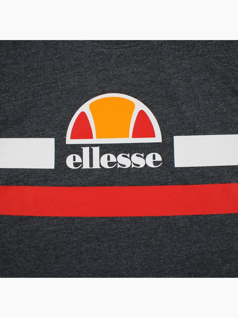 Ellesse - T-shirt manches courtes avec lignes de couleur Homme gris anthracite - Kiabi