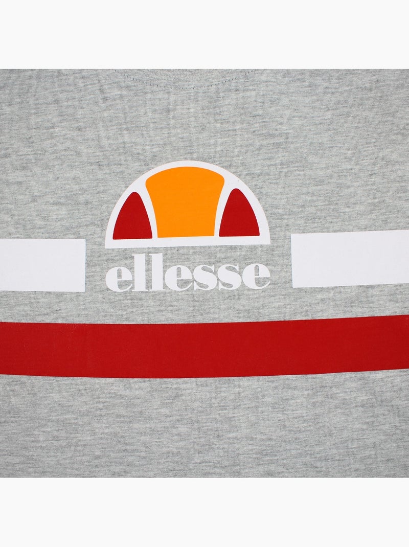 Ellesse - T-shirt manches courtes avec lignes de couleur Homme Gris - Kiabi