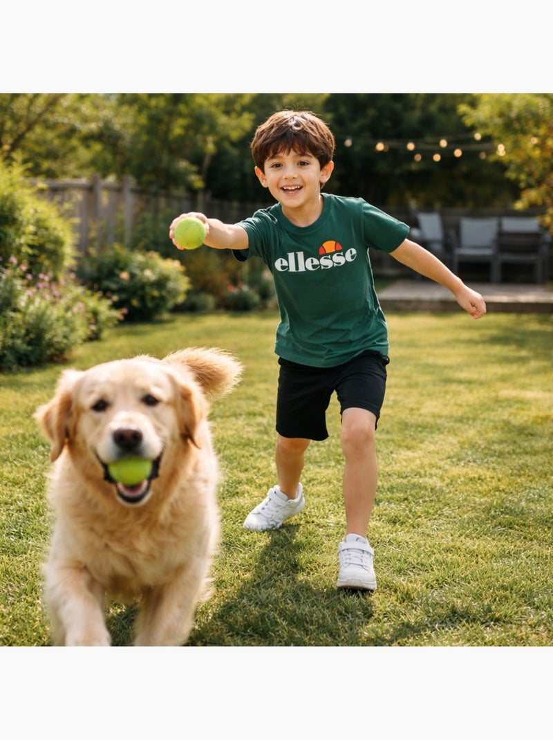 Ellesse - T-shirt manches courtes Garçon avec imprimé Vert - Kiabi