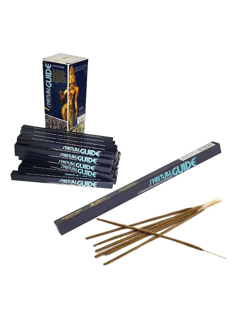 Encens Guide Spirituel - 10 grammes soit environ 8 Bâtonnets Marron - Kiabi