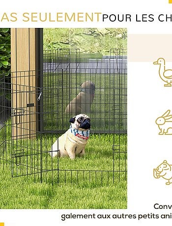 Enclos pour chien