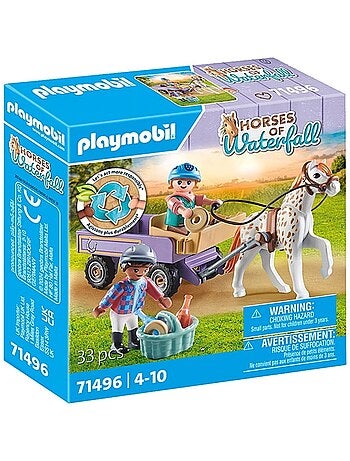 Enfants avec calèche et poney